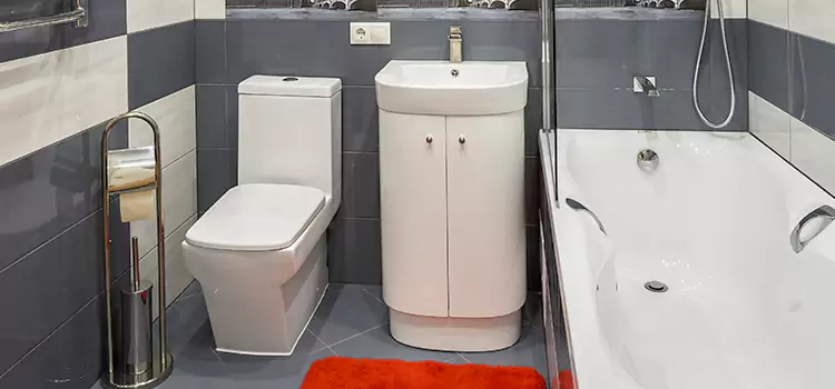 Hansgrohe Shaving Mirror Rancho Palos Verdes
